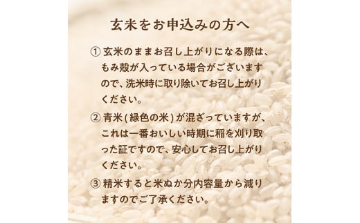 【令和6年産予約】特別栽培米　つや姫　玄米　10kg×1