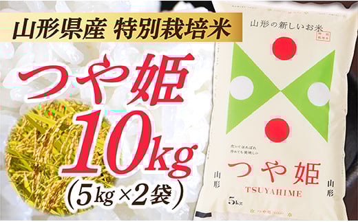 令和7年産　山形県産 特別栽培米 つや姫10kg (5㎏×2袋) 令和7年産 山形県産 特別栽培米 つや姫10kg (5㎏×2袋)