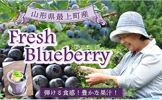 【冷凍】最上町産ブルーベリー1kg ※発送は9月～3月になります。