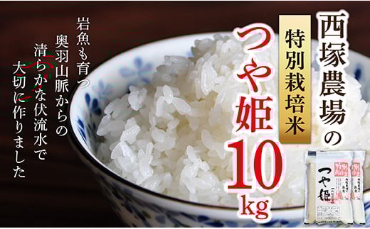 【令和6年産予約】特別栽培米　つや姫　白米　10kg(5kg×2)