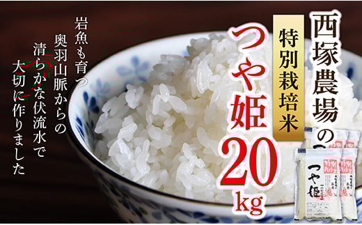 【令和6年産予約】特別栽培米　つや姫　白米　20kg(5kg×4)
