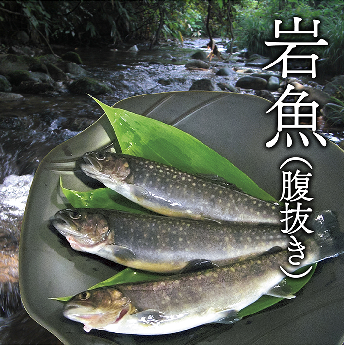 西塚農場産岩魚冷凍10尾(腹抜き) 西塚農場産岩魚冷凍10尾(腹抜き)