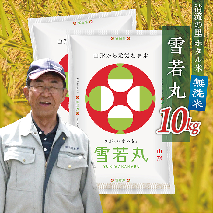 令和7年産 【無洗米】最上町産 ホタル米雪若丸10kg(5kg×2袋)