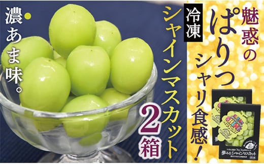 瞬間冷凍シャインマスカット2箱 瞬間冷凍シャインマスカット2箱