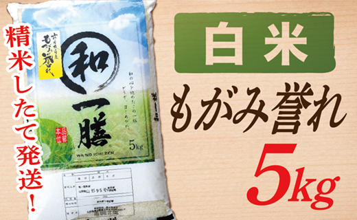 【令和7年産】【希少品種】【白米】山形県産もがみ誉れ5kg
