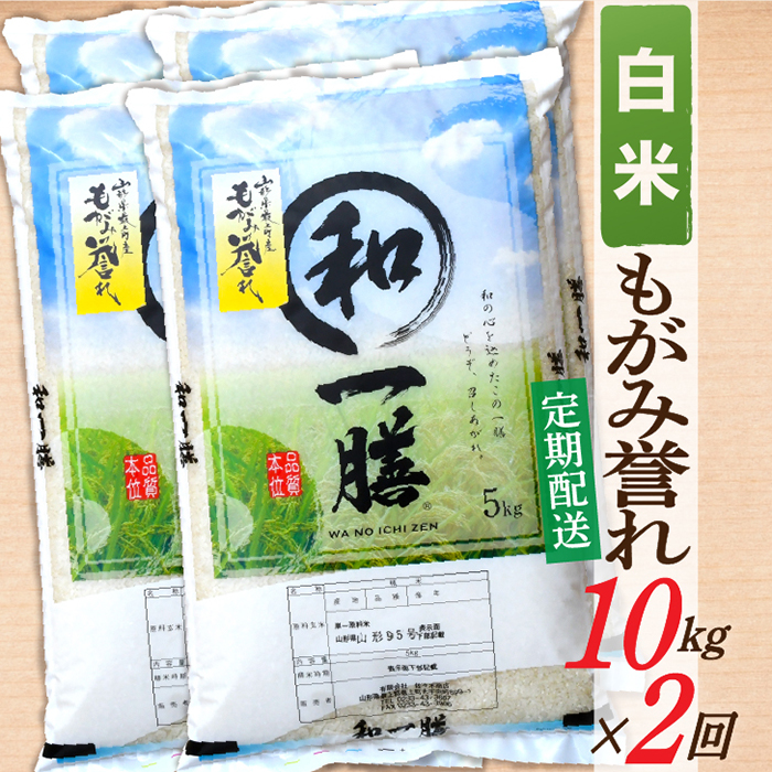 【定期便】【白米】 令和7年産 もがみ誉れ 10kg (5kg×2) 2回配送