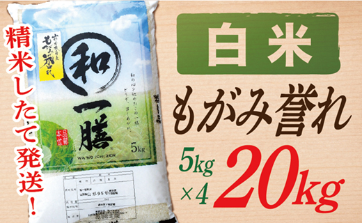 【令和7年産】【希少品種】【白米】山形県産もがみ誉れ20kg