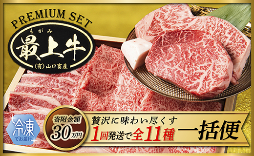 【冷凍】【1回配送で全11種】特選最上牛を一括でお届け 【冷凍】【1回配送で全11種】特選最上牛を一括でお届け