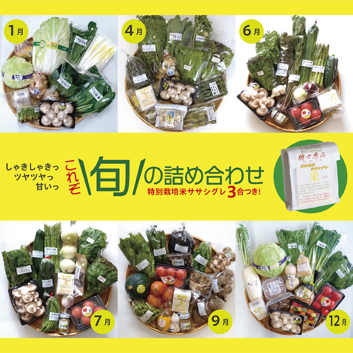 旬の詰め合わせセット