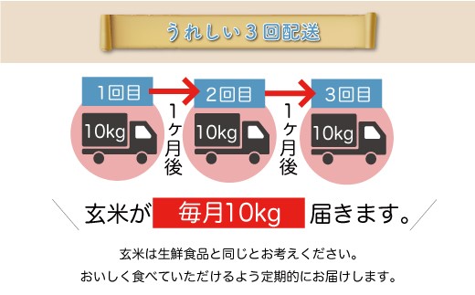 ＜令和7年産米＞ 雪若丸 【玄米】30kg 定期便 (10kg×3回) 　配送時期指定できます！ 申込完了後約2週間で順次配送