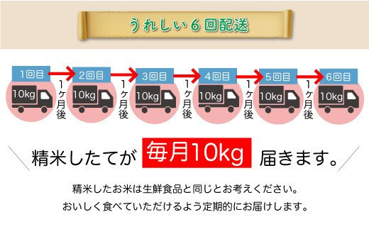 ＜令和7年産米＞ 特別栽培米 つや姫 【白米】60kg定期便(10kg×6回)　配送時期指定できます！ 申込完了後約2週間で順次配送