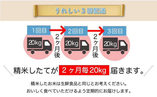 ＜令和7年産米＞ 特別栽培米 つや姫 【白米】60kg定期便(20kg×3回)　配送時期指定できます！ 申込完了後約2週間で順次配送