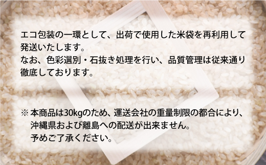 ■数量限定■ ＜令和7年産＞ はえぬき 【玄米】 30kg （30kg×1袋）  配送時期指定できます！ 大蔵村　沖縄県・離島配送不可 令和8年2月上旬より順次配送開始