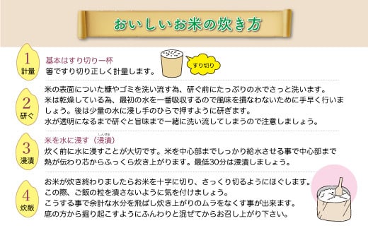 ＜令和7年産米＞ はえぬき 【白米】 5kg （5kg×1袋） 配送時期指定できます！ 申込完了後約2週間で順次配送