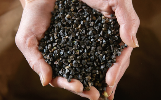 おうちで本格！蕎麦打ち体験「そばねり玉」（4人前）麺棒セット