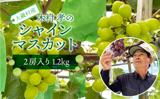 大蔵村産　シャインマスカット　2房　約1.2kg