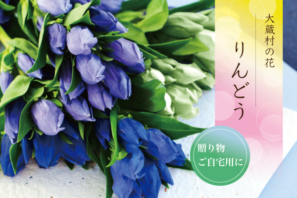 大蔵村の花　りんどう