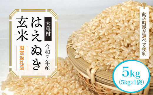 ■数量限定返礼品■ ＜令和7年産＞ はえぬき 【玄米】 5kg （5kg×1袋） 配送時期指定できます！ 大蔵村 令和8年2月上旬より順次配送開始