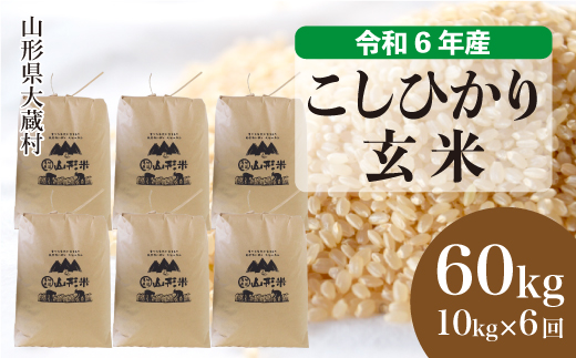 コシヒカリ 定期便 玄米60kg (10kg×6回発送)