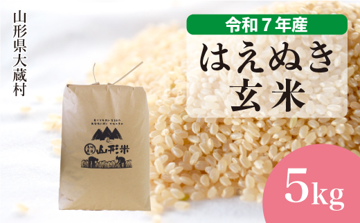 ＜令和7年産米＞ はえぬき 【玄米】 5kg （5kg×1袋） 配送時期指定できます！ 申込完了後約2週間で順次配送