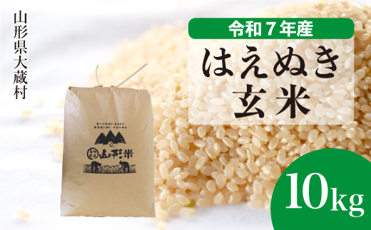 ＜令和7年産米＞ はえぬき 【玄米】 10kg （10kg×1袋） 配送時期指定できます！ 申込完了後約2週間で順次配送