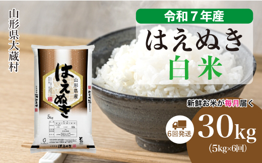 ＜令和7年産米＞ はえぬき 【白米】30kg定期便 (5kg×6回)　配送時期指定できます！ 申込完了後約2週間で順次配送