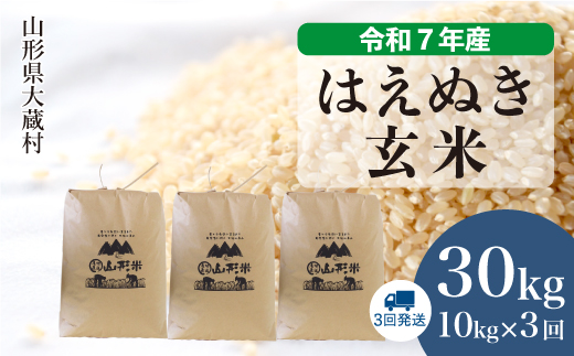 ＜令和7年産米＞ はえぬき 【玄米】30kg 定期便 (10kg×3回) 　配送時期指定できます！ 申込完了後約2週間で順次配送