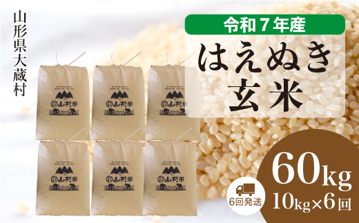 ＜令和7年産米＞ はえぬき 【玄米】60kg定期便(10kg×6回)　配送時期指定できます！ 申込完了後約2週間で順次配送