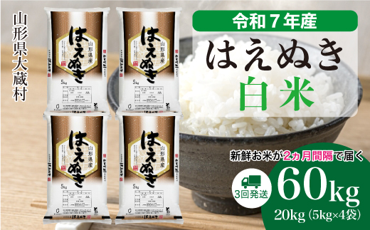 ＜令和7年産米＞ はえぬき 【白米】60kg定期便(20kg×3回)　配送時期指定できます！ 申込完了後約2週間で順次配送