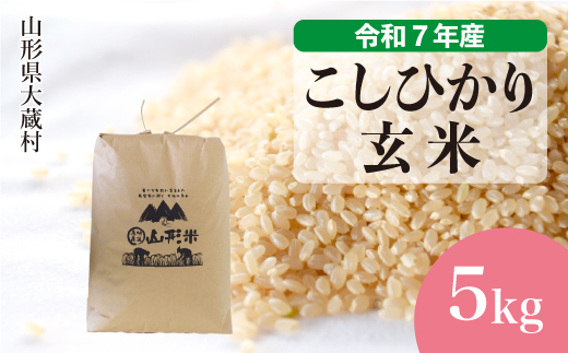 ＜令和7年産米＞ こしひかり 【玄米】 5kg （5kg×1袋） 配送時期指定できます！ 申込完了後約2週間で順次配送