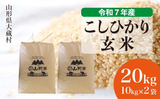 ＜令和7年産米＞ こしひかり 【玄米】 20kg （10kg×2袋） 配送時期指定できます！ 申込完了後約2週間で順次配送