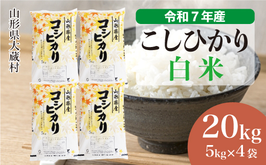 ＜令和7年産米＞ こしひかり 【白米】 20kg （5kg×4袋） 配送時期指定できます！ 申込完了後約2週間で順次配送