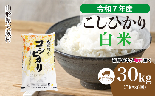 ＜令和7年産米＞ こしひかり 【白米】30kg定期便 (5kg×6回)　配送時期指定できます！ 申込完了後約2週間で順次配送