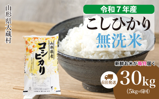 ＜令和7年産米＞ こしひかり 【無洗米】30kg定期便 (5kg×6回)　配送時期指定できます！ 申込完了後約2週間で順次配送