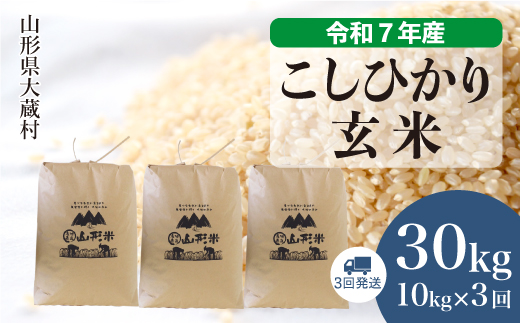 ＜令和7年産米＞ こしひかり 【玄米】30kg 定期便 (10kg×3回) 　配送時期指定できます！ 申込完了後約2週間で順次配送