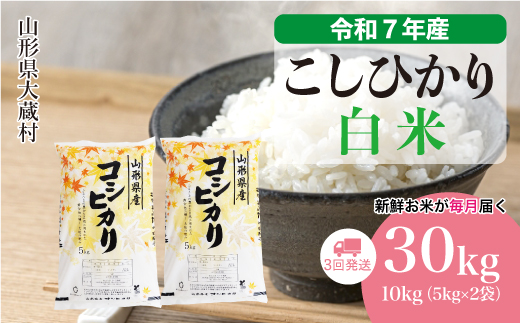 ＜令和7年産米＞ こしひかり 【白米】30kg定期便 (10kg×3回)　配送時期指定できます！ 申込完了後約2週間で順次配送
