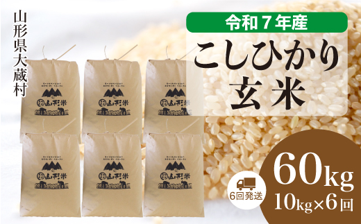 ＜令和7年産米＞ こしひかり 【玄米】60kg定期便(10kg×6回)　配送時期指定できます！ 申込完了後約2週間で順次配送