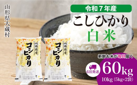 ＜令和7年産米＞ こしひかり 【白米】60kg定期便(10kg×6回)　配送時期指定できます！ 申込完了後約2週間で順次配送
