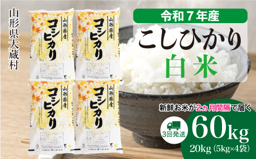 ＜令和7年産米＞ こしひかり 【白米】60kg定期便(20kg×3回)　配送時期指定できます！ 申込完了後約2週間で順次配送