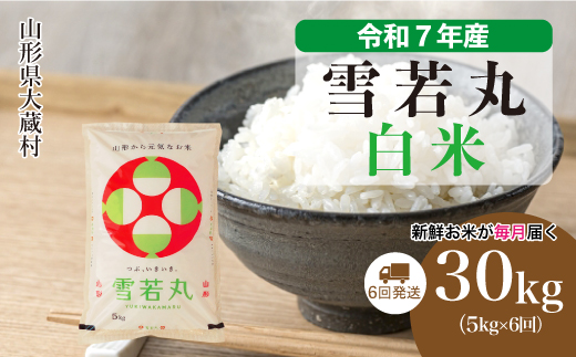 ＜令和7年産米＞ 雪若丸 【白米】30kg定期便 (5kg×6回)　配送時期指定できます！ 申込完了後約2週間で順次配送