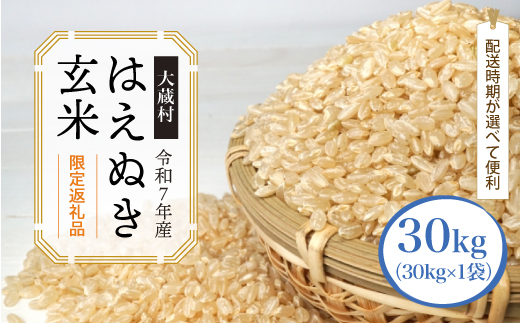 ■数量限定■ ＜令和7年産＞ はえぬき 【玄米】 30kg （30kg×1袋）  配送時期指定できます！ 大蔵村　沖縄県・離島配送不可 令和8年2月上旬より順次配送開始