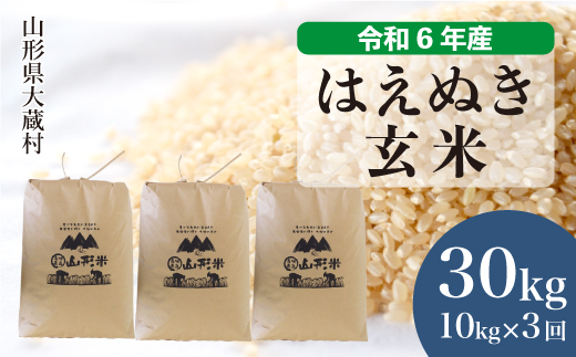 [令和6年産米] 山形県産 はえぬき [玄米]30kg 定期便 (10kg×3回) 配送時期指定できます!