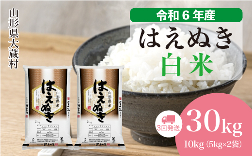 [令和6年産米] 山形県産 はえぬき [白米]30kg定期便 (10kg×3回) 配送時期指定できます!