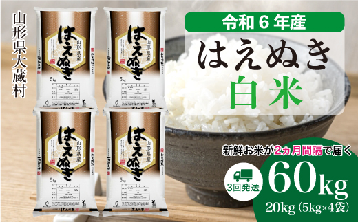 [令和6年産米] 山形県産 はえぬき [白米]60kg定期便(20kg×3回) 配送時期指定できます!