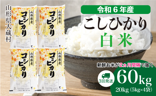 [令和6年産米] 山形県産 コシヒカリ[白米]60kg定期便(20kg×3回) 配送時期指定できます! 大蔵村