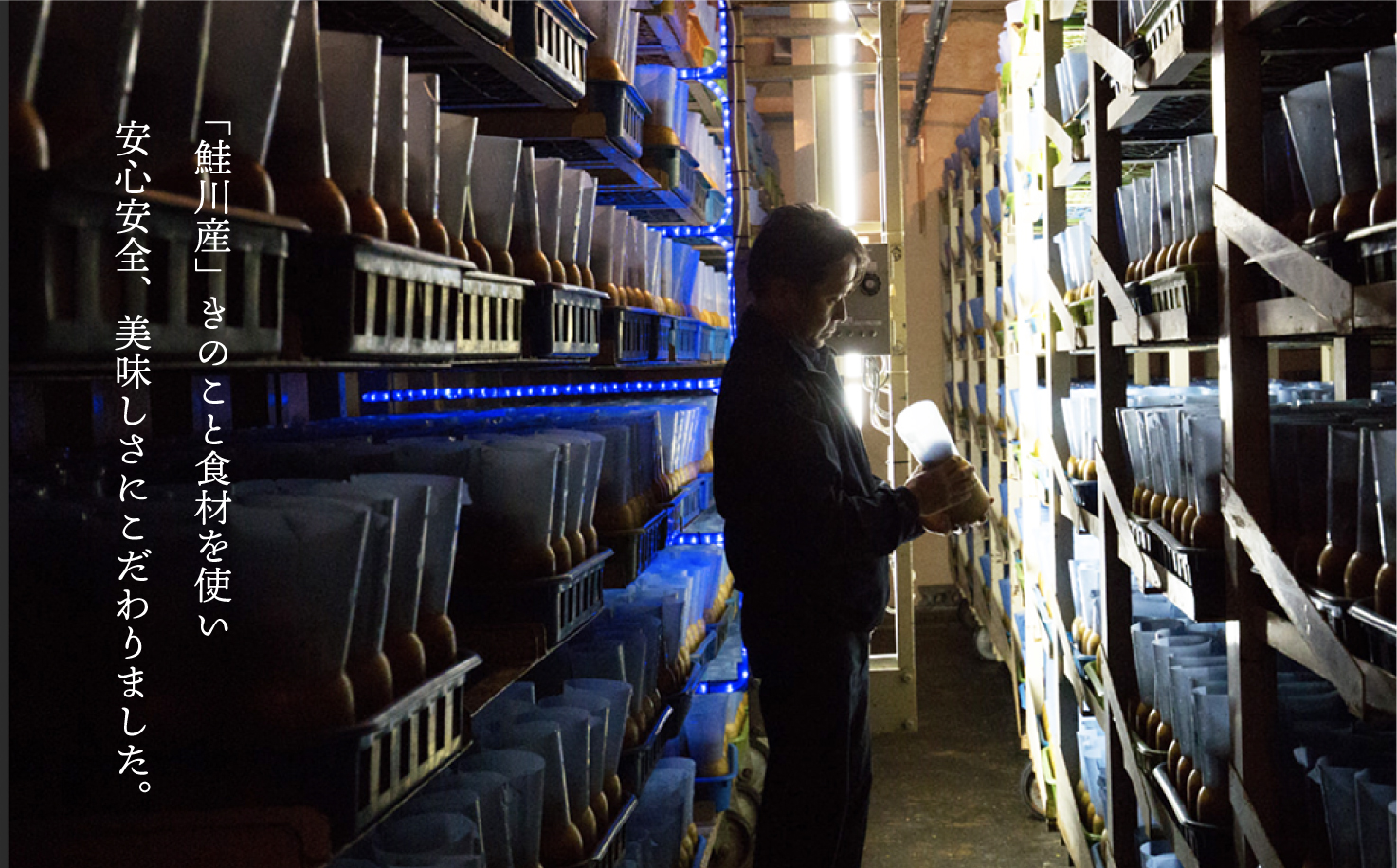 きのこ王国鮭川村産 　ご飯のお供　えのきＣ　［南蛮・カレー・花笠なめたけ］
