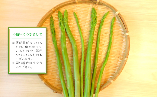 鮭川村産　不揃いアスパラガス　2kg