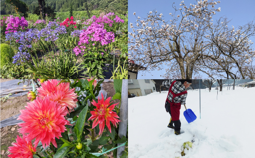 農家民宿「はる風」の日帰り農家体験（2名様昼食付）