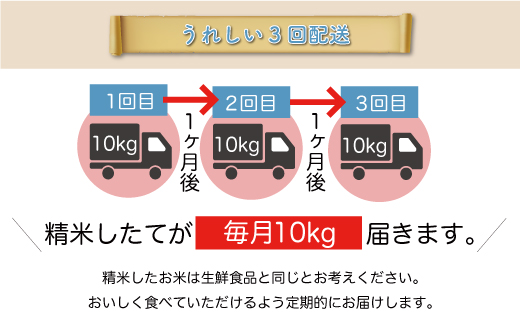 ＜令和7年産米＞ 山形県産 はえぬき 【白米】30kg定期便 (10kg×3回)　配送時期指定できます！ 申込完了後約2週間程度で順次配送