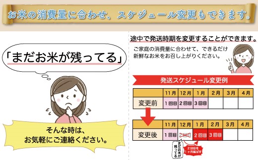 ＜令和7年産米＞ 山形県産 はえぬき 【玄米】30kg 定期便 (10kg×3回) 　配送時期指定できます！ 申込完了後約2週間程度で順次配送